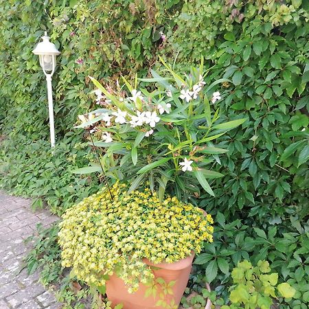Pension Haus Anneliese Иккериц Экстерьер фото