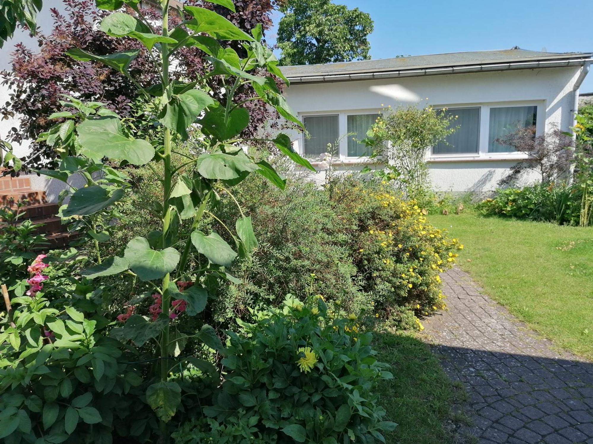 Pension Haus Anneliese Иккериц Экстерьер фото