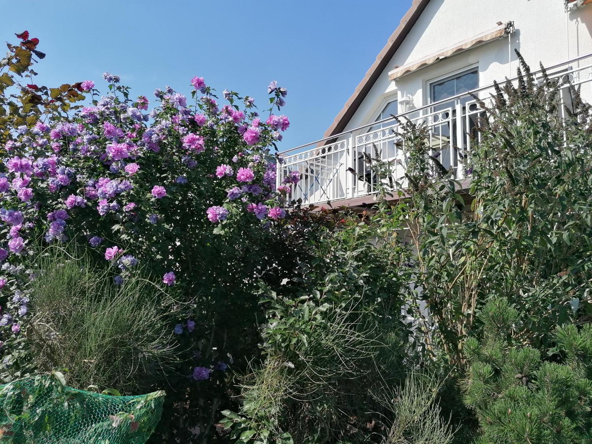 Pension Haus Anneliese Иккериц Экстерьер фото